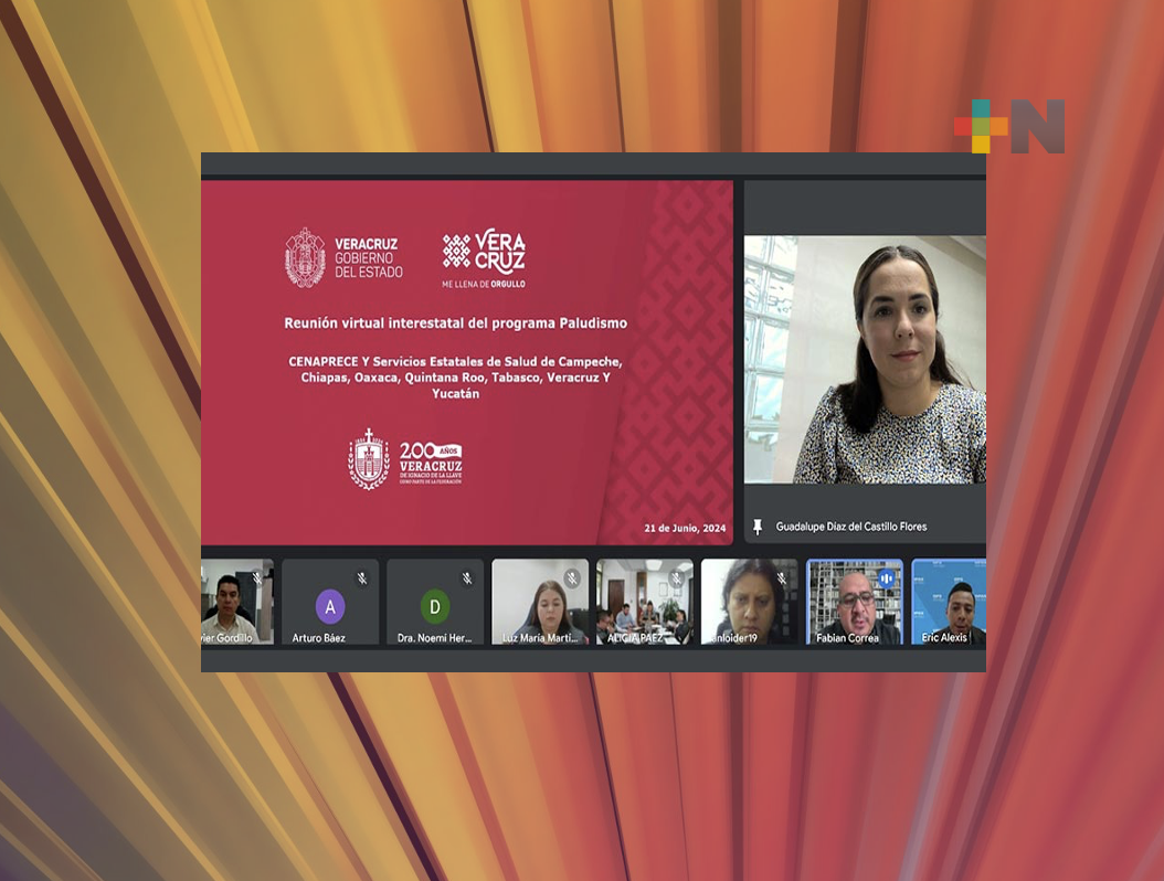 Realizaron la primera Reunión de la Región Sur-Sureste del Componente de Paludismo